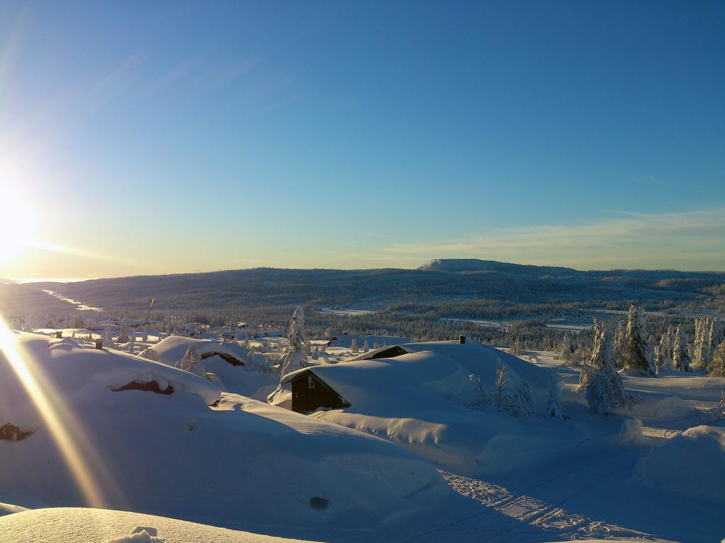 Skei * Svingvoll